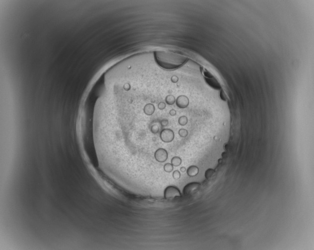 X0000115160811200911241548