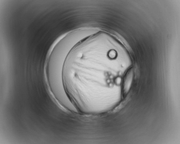 X0000115160812200911241548