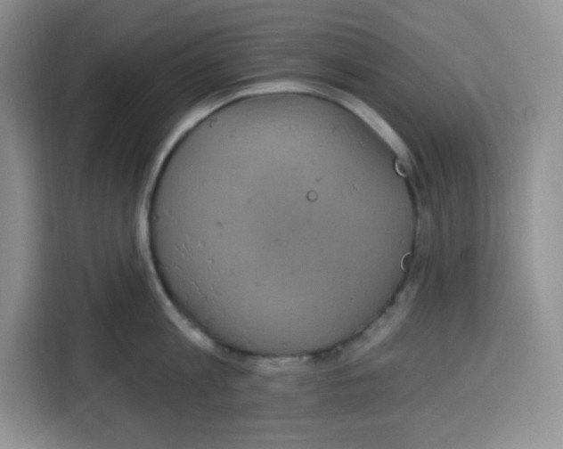 X0000115160813200911241548