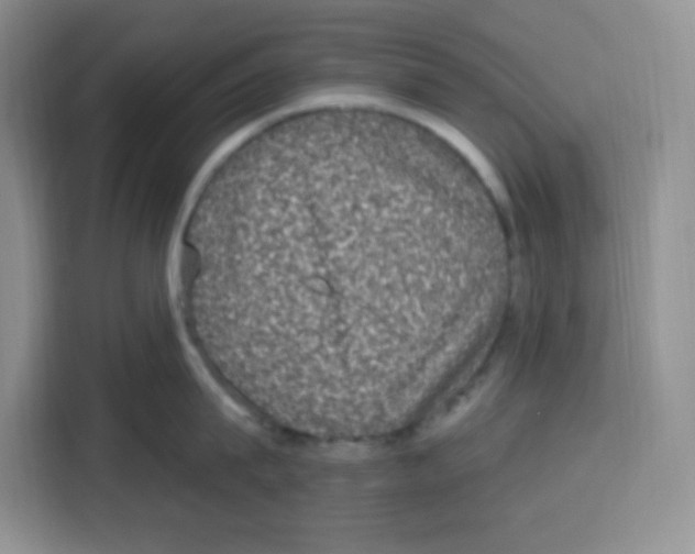 X0000115160815200911241548