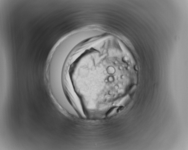 X0000115160816200911241548