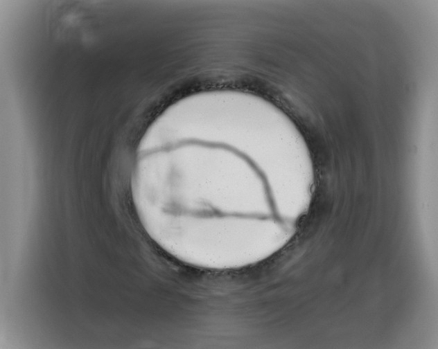 X0000115160817200911241547