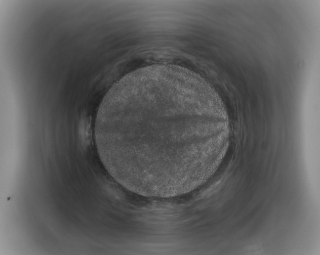 X0000115160818200911241547