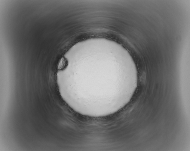 X0000115160819200911241547