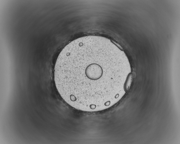 X0000115160820200911241547