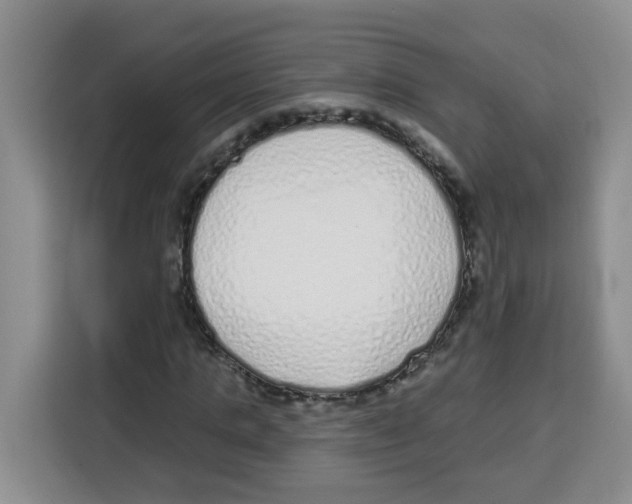 X0000115160821200911241547