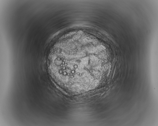 X0000115160822200911241547