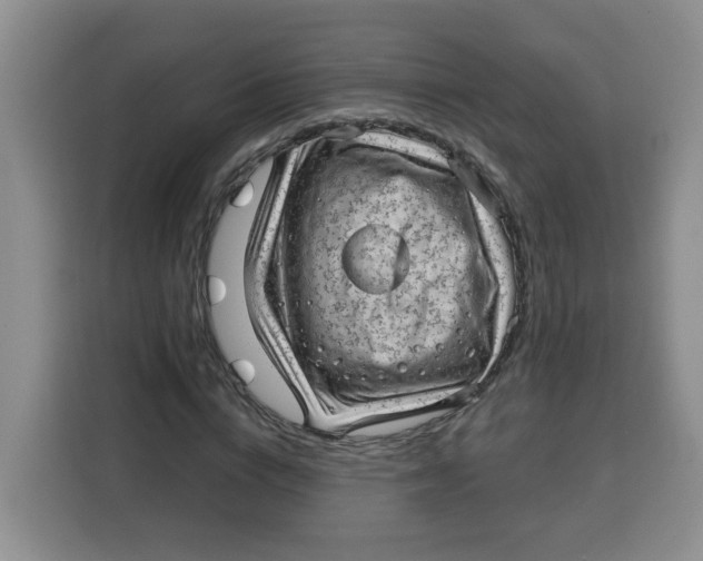 X0000115160824200911241547