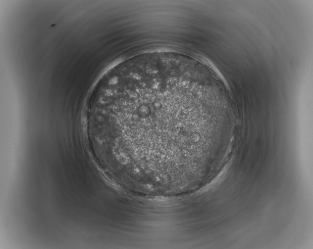 X0000115160827200911241547