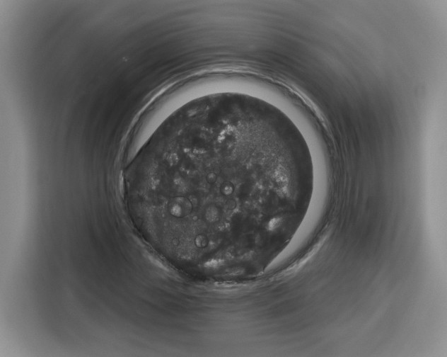 X0000115160829200911241547