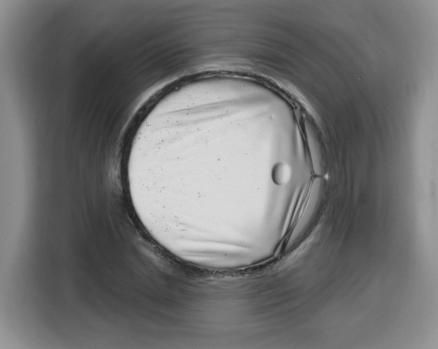 X0000115160830200911241547