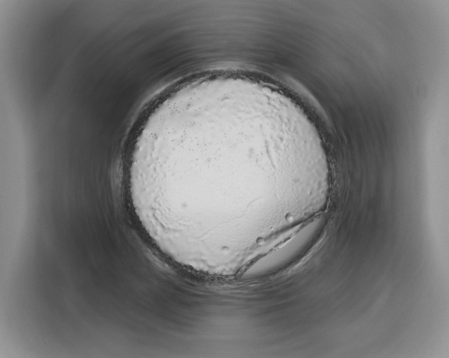 X0000115160831200911241547