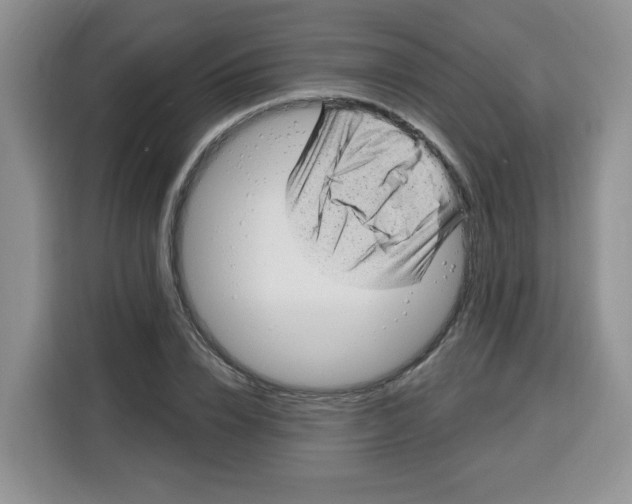 X0000115160832200911241547