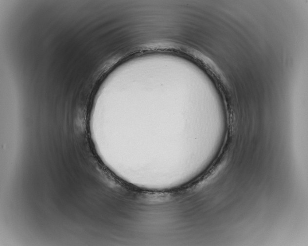 X0000115160833200911241547