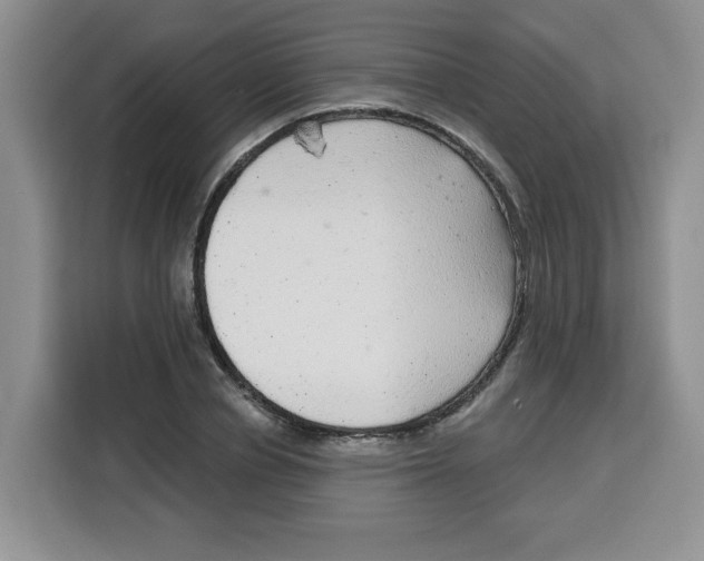 X0000115160834200911241547