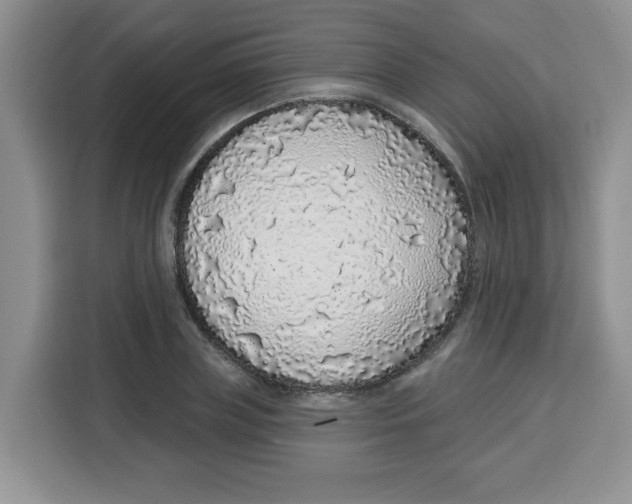 X0000115160835200911241547