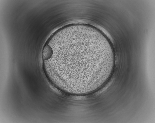 X0000115160837200911241547