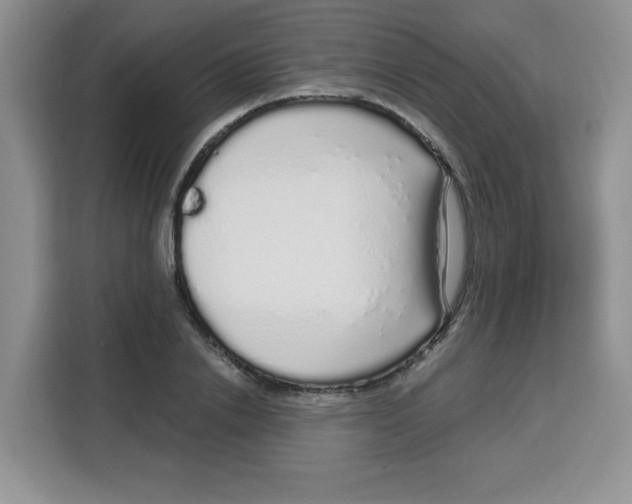 X0000115160838200911241547