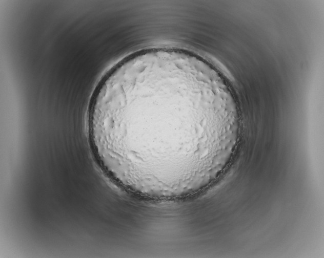 X0000115160839200911241547