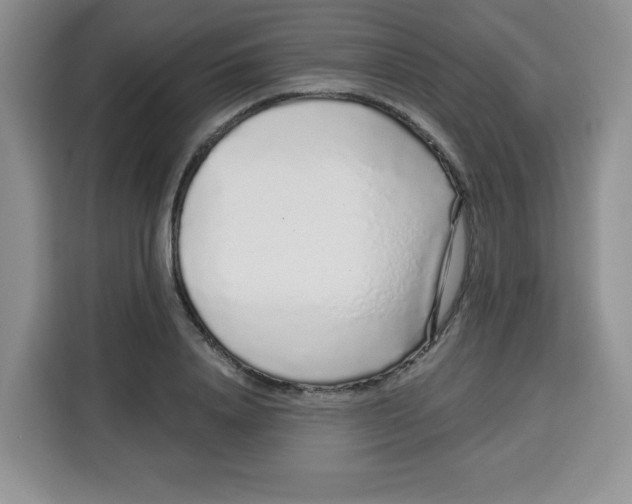 X0000115160840200911241547