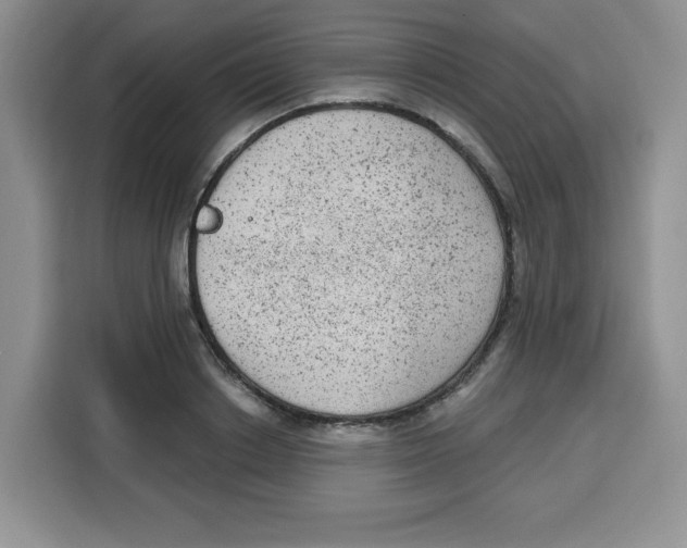 X0000115160842200911241547