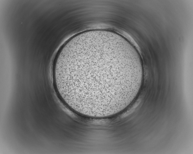 X0000115160843200911241547