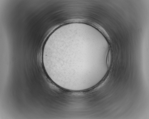 X0000115160844200911241547