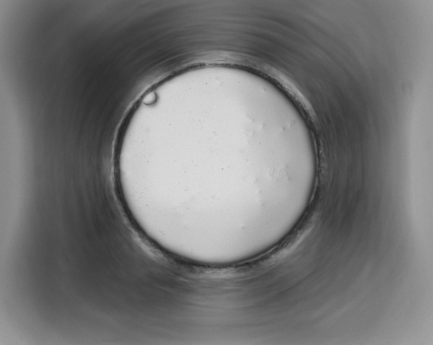 X0000115160845200911241547