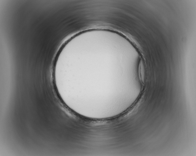 X0000115160846200911241547