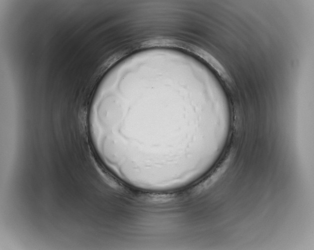 X0000115160849200911241547