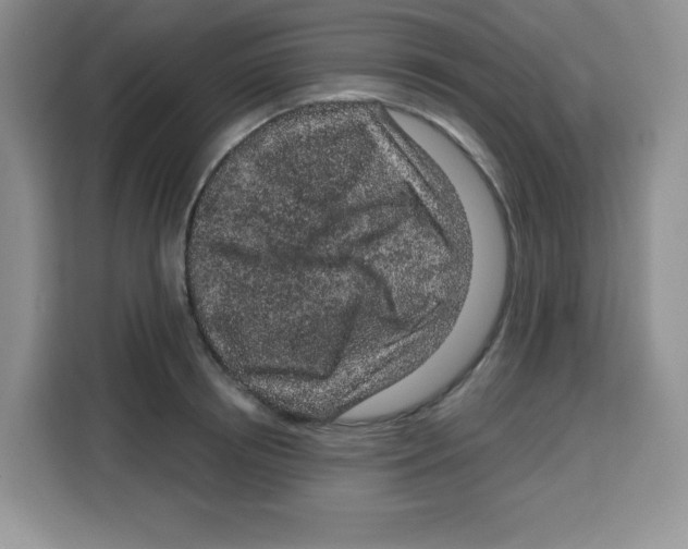 X0000115160850200911241547