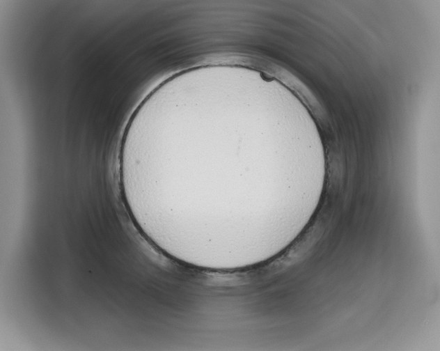 X0000115160852200911241547