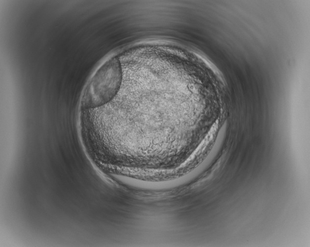 X0000115160853200911241547