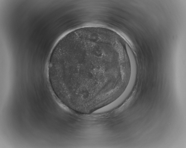 X0000115160854200911241547