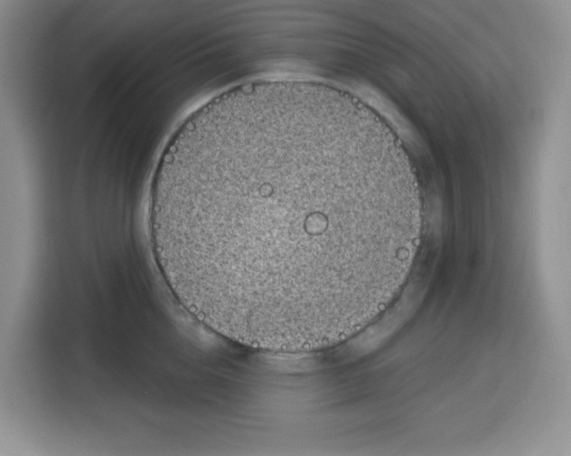 X0000115160856200911241547