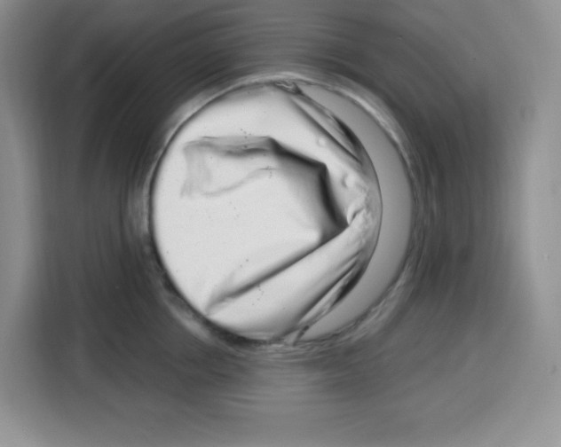 X0000115160858200911241547