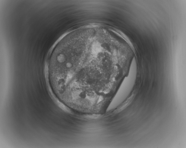 X0000115160859200911241547