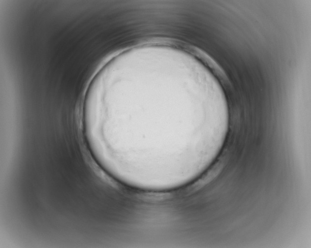 X0000115160860200911241547