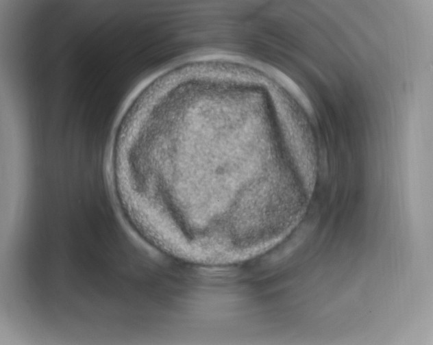 X0000115160863200911241547