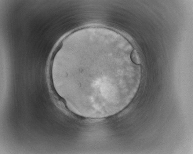 X0000115160864200911241547