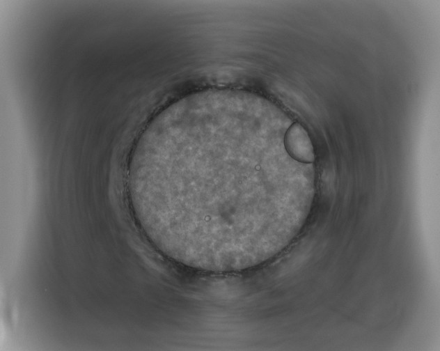 X0000115160865200911241547