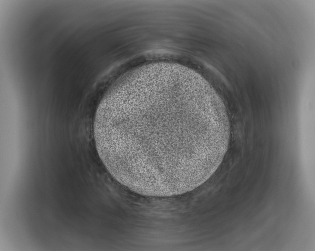 X0000115160870200911241547