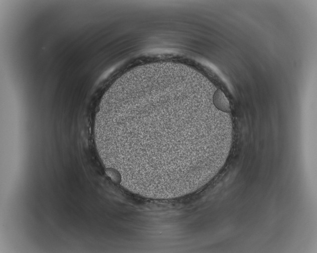 X0000115160871200911241547