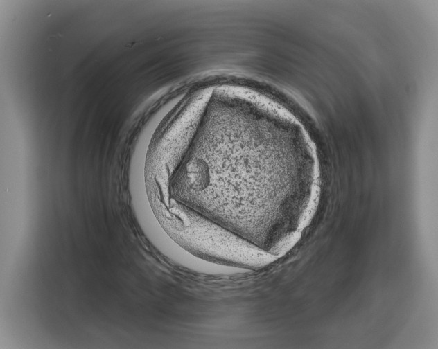 X0000115160872200911241547