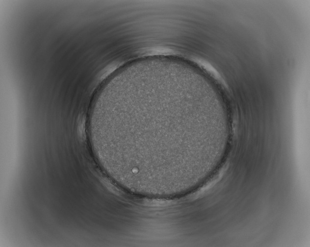 X0000115160873200911241547