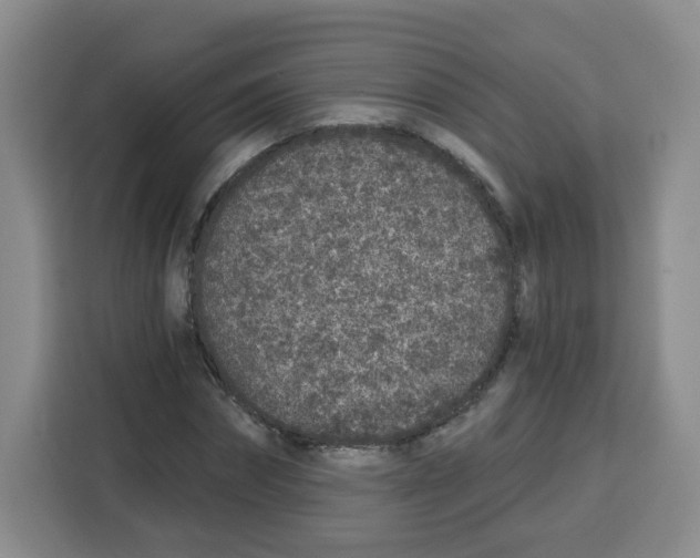 X0000115160874200911241547