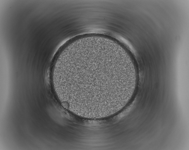 X0000115160875200911241547