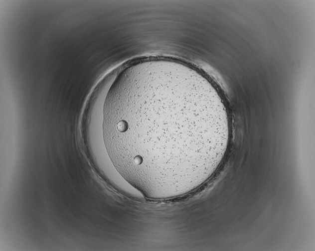 X0000115160876200911241547