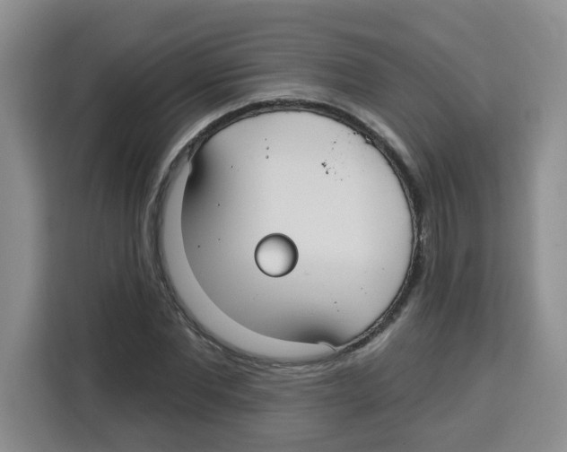 X0000115160877200911241547