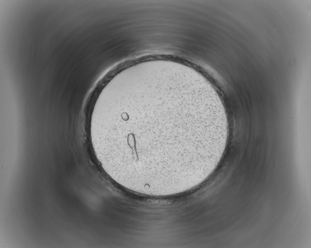 X0000115160878200911241547